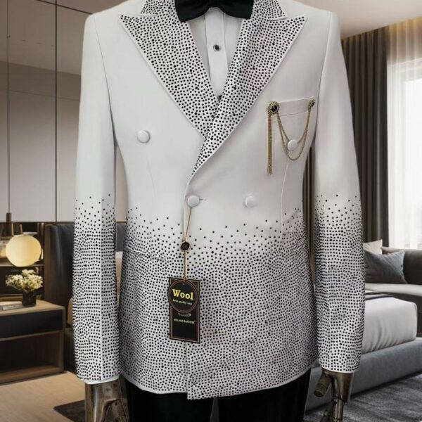 Dee Collection Men Suit 2